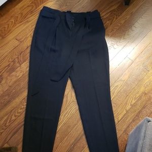 Express dress pants